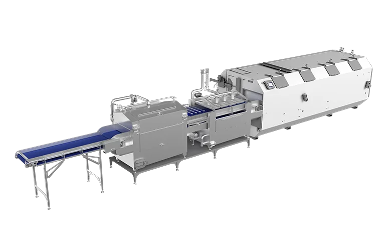 IQF Asparagus line. Full processing line for asparagus.